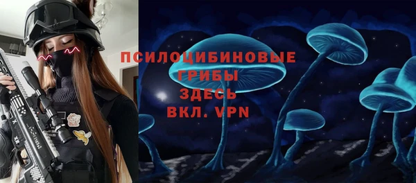 гидропоника Бородино