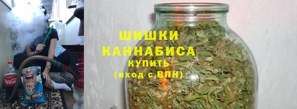 гидропоника Бородино