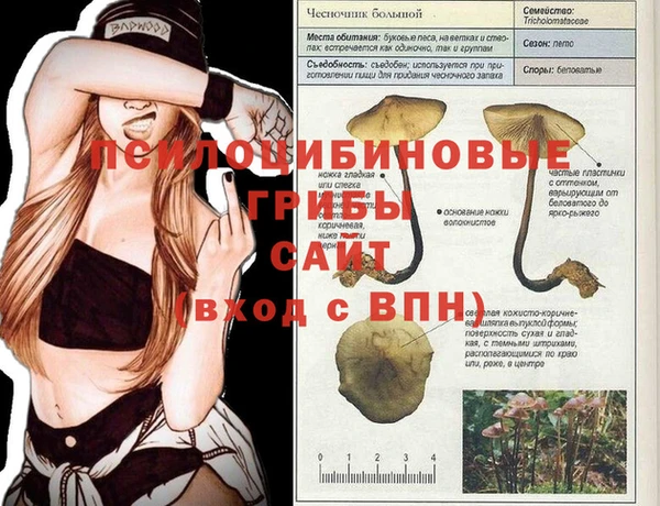 гидропоника Бородино
