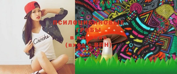 гидропоника Бородино